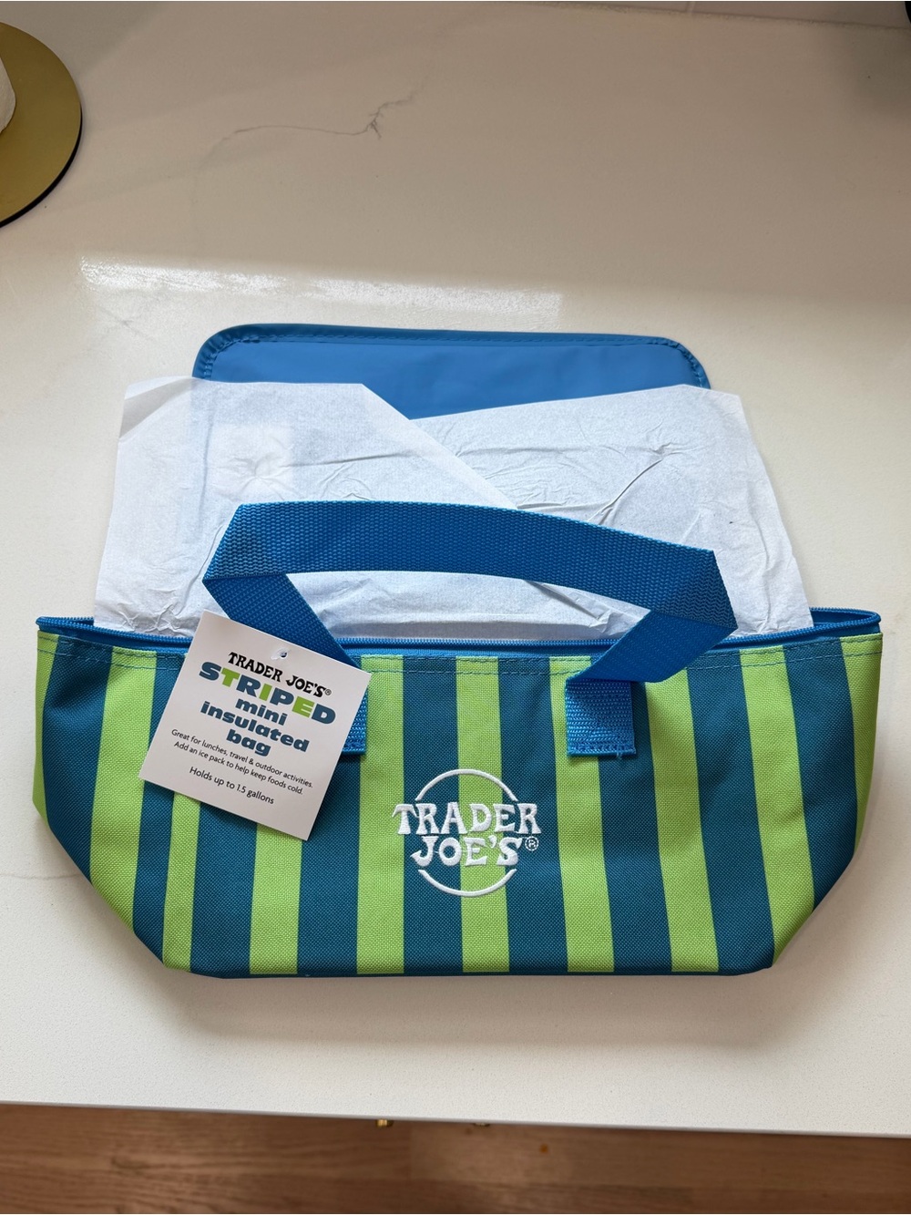 Trader Joe's Striped Mini Insulated Tote Summer Collection